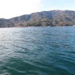 THE納竿釣行行ってきた~